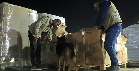 "المكافحة" بغزة تضبط عشرات الآلاف من الحبوب المخدرة برفح