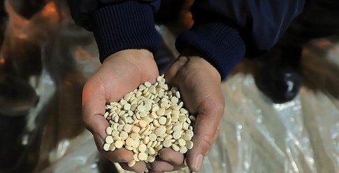 "المكافحة" بغزة تضبط عشرات الآلاف من الحبوب المخدرة برفح