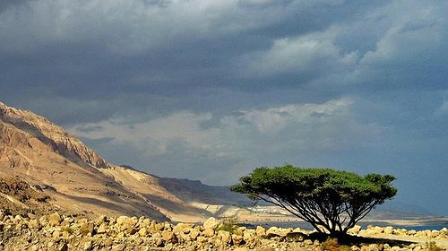 انخفاض كبير على درجات الحرارة.. طالع طقس فلسطين حتى الأربعاء