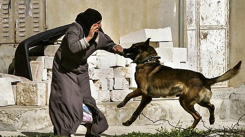 صحيفة تكشف عن قيام الاحتلال بتعرية فلسطينيات في الخليل