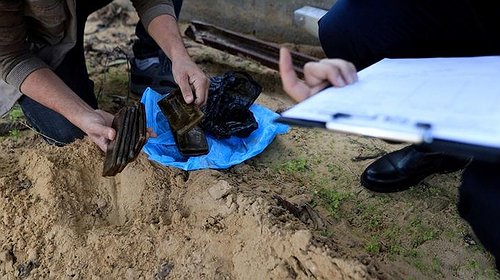 "المكافحة" بغزة تضبط مئات فروش الحشيش براً وبحراً