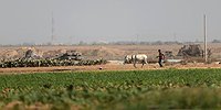الاحتلال يعتقل 3 فلسطينيين على حدود غزة