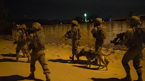 اشتباكات مسلحة في بلاطة واعتقال فلسطينيين