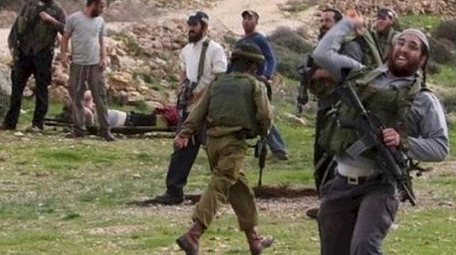 مستوطنون يعتدون على المواطنين بالسلاح في الخليل