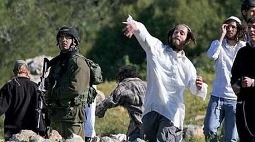 مستوطنون يحرثون أراضي جنوب نابلس للاستيلاء عليها