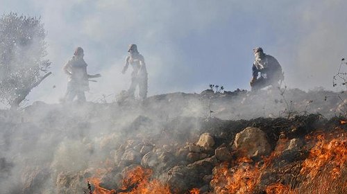 مستوطنون يشعلون مزارع الفلسطينيين في الخليل ويعتدون عليهم