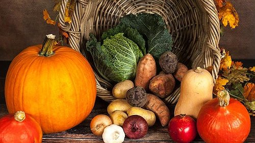 أسعار الخضراوات والدجاج واللحوم والبيض اليوم في غزة