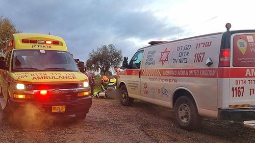 تفاصيل مقتل إسرائيلي وكلبه بصاعقة برق شمالي تل أبيب