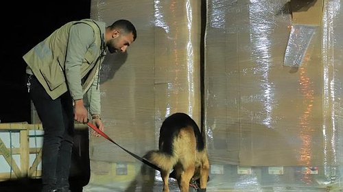 "المكافحة" بغزة تضبط عشرات الآلاف من الحبوب المخدرة برفح
