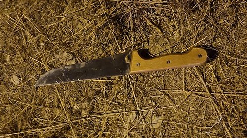 جيش الاحتلال يكشف عن حادثة أمنية وقعت غربي رام الله